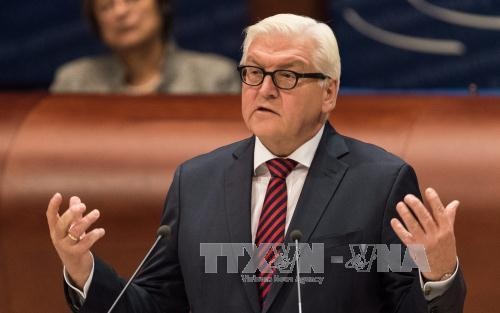 Deutscher Bundesaußenminister Frank-Walter Steinmeier besucht Ho Chi Minh Stadt - ảnh 1